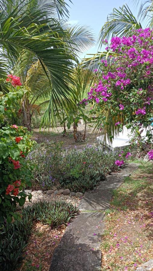 T2 Jardin Clos Les Nids De La Colline 생프랑수아 외부 사진